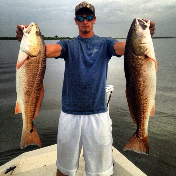 Meet your Posher, Kevin - Picture 1 of 1